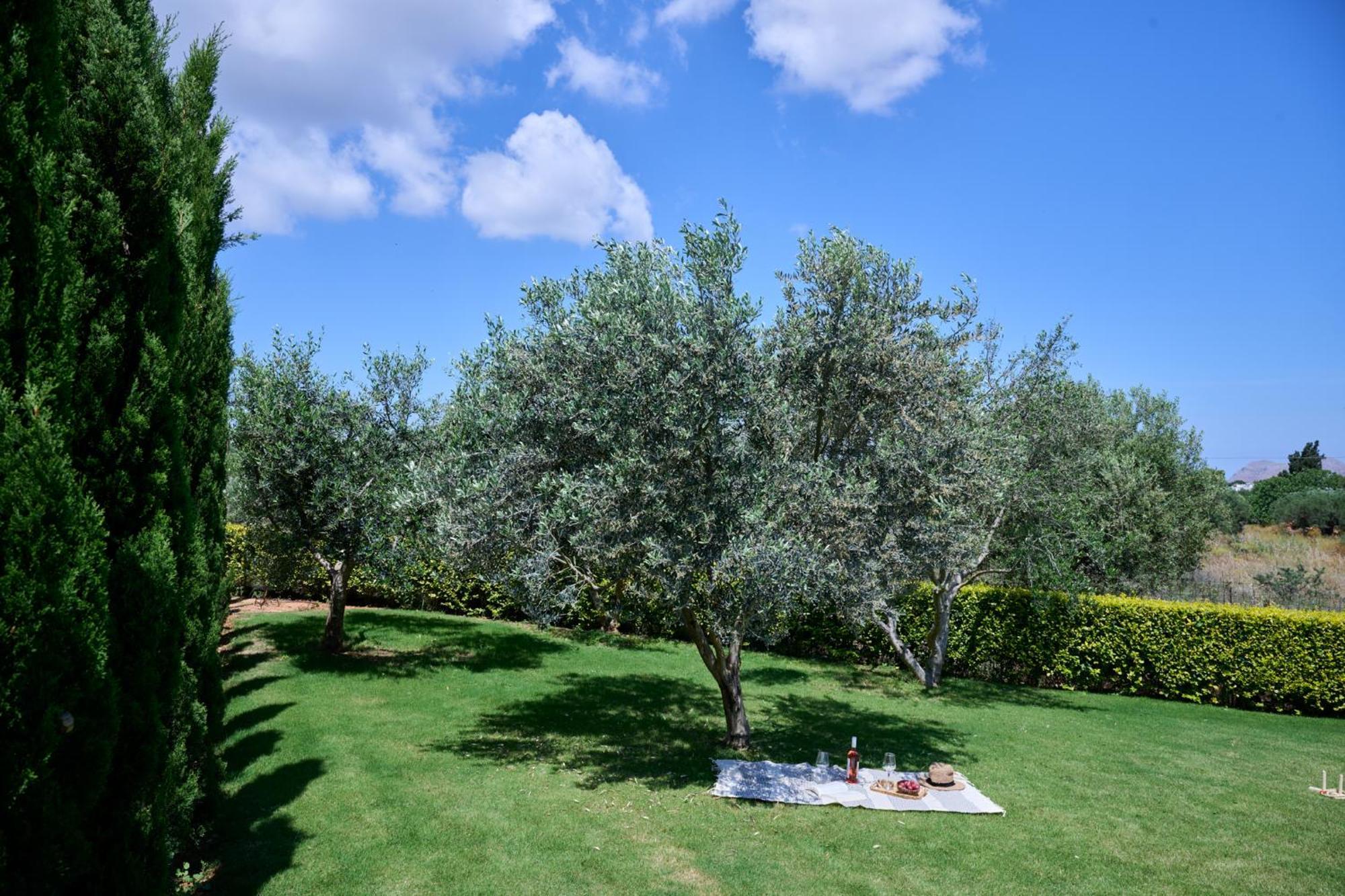 Kyamon Estate Luxury Villa Chania  Eksteriør billede